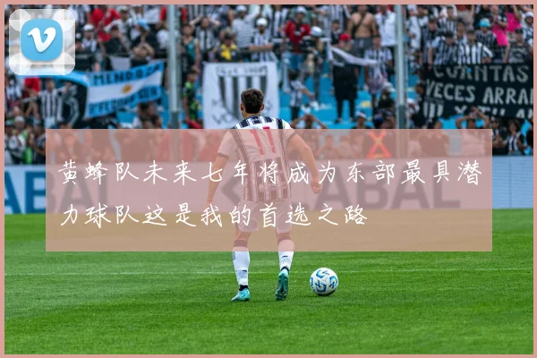 黄蜂队未来七年将成为东部最具潜力球队这是我的首选之路