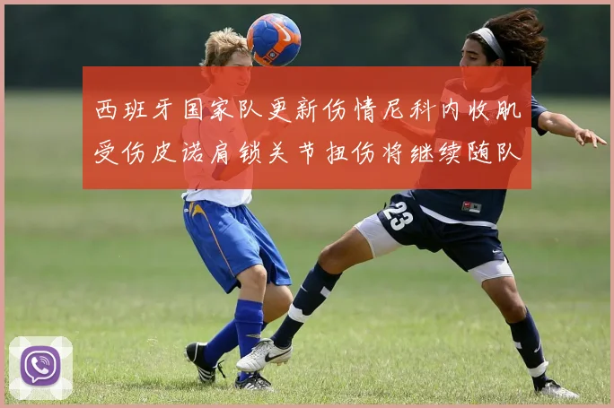 西班牙国家队更新伤情尼科内收肌受伤皮诺肩锁关节扭伤将继续随队训练